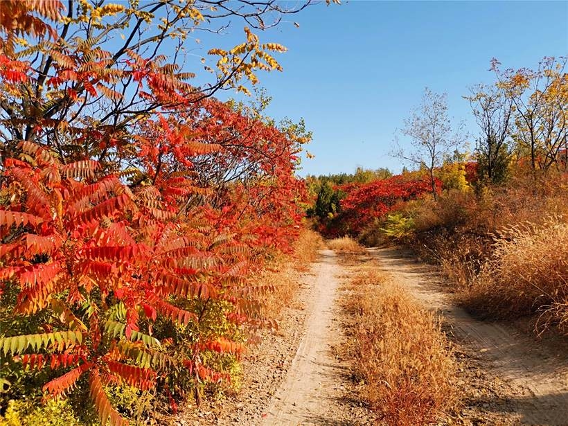 房山越野场地